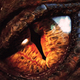 Illustration for article titled We Saw Huge, Insane Battles in the emHobbit: Battle Of Five Armies/em Teaser